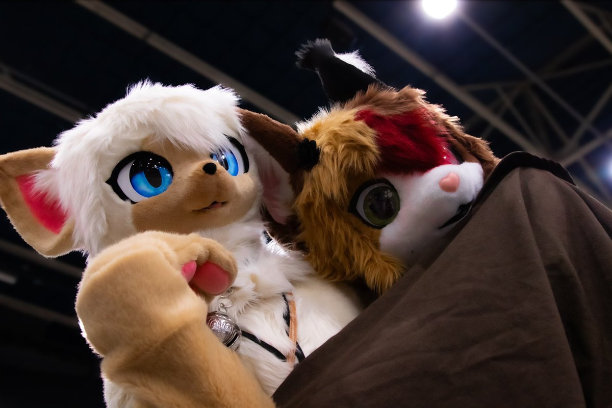 I’m hugging my favorite kitty on this #FursuitFriday ! Make sure to give your favorite kittycat a hug today too 😸

With <a href="/KinakoMyBeloved/">Kinako</a> 
My suit 🧵 <a href="/SchneeCreations/">SchneepardiCreations 🔜 TBD</a>