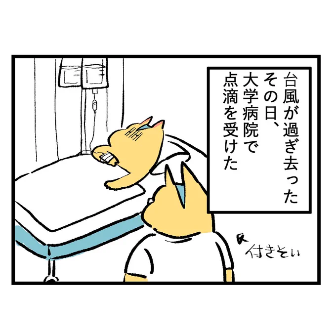 七色のGERO吐けますか?台風襲来編第20話
こんな事聞いてごめんって今は思ってる
#漫画が読めるハッシュタグ #もしゃ悪阻日記 