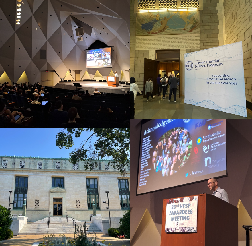 RalSimon's tweet image. Had an incredible time at last week&apos;s #HFSPMeeting2024 @theNASciences in Washington DC. Truly grateful for the inspiring talks, discussions and amazing organization. Thank you @HFSP for a fantastic event! 👏