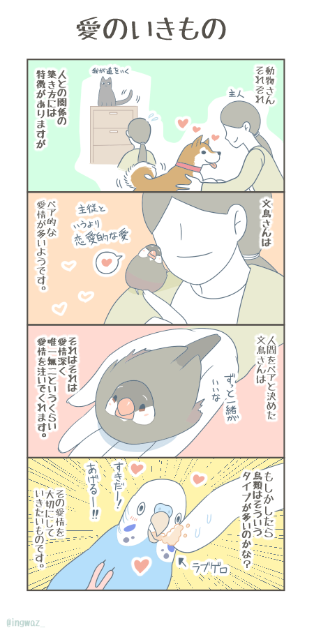 文鳥さん、とても愛情深いいきものです。

#Buncho #文鳥 #漫画が読めるハッシュタグ 