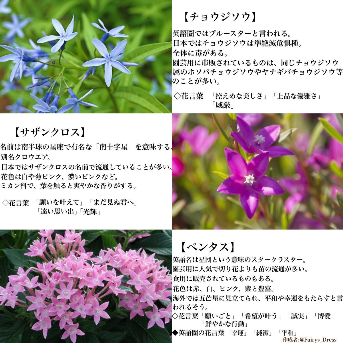 Fairy's Dress®︎ tweet media