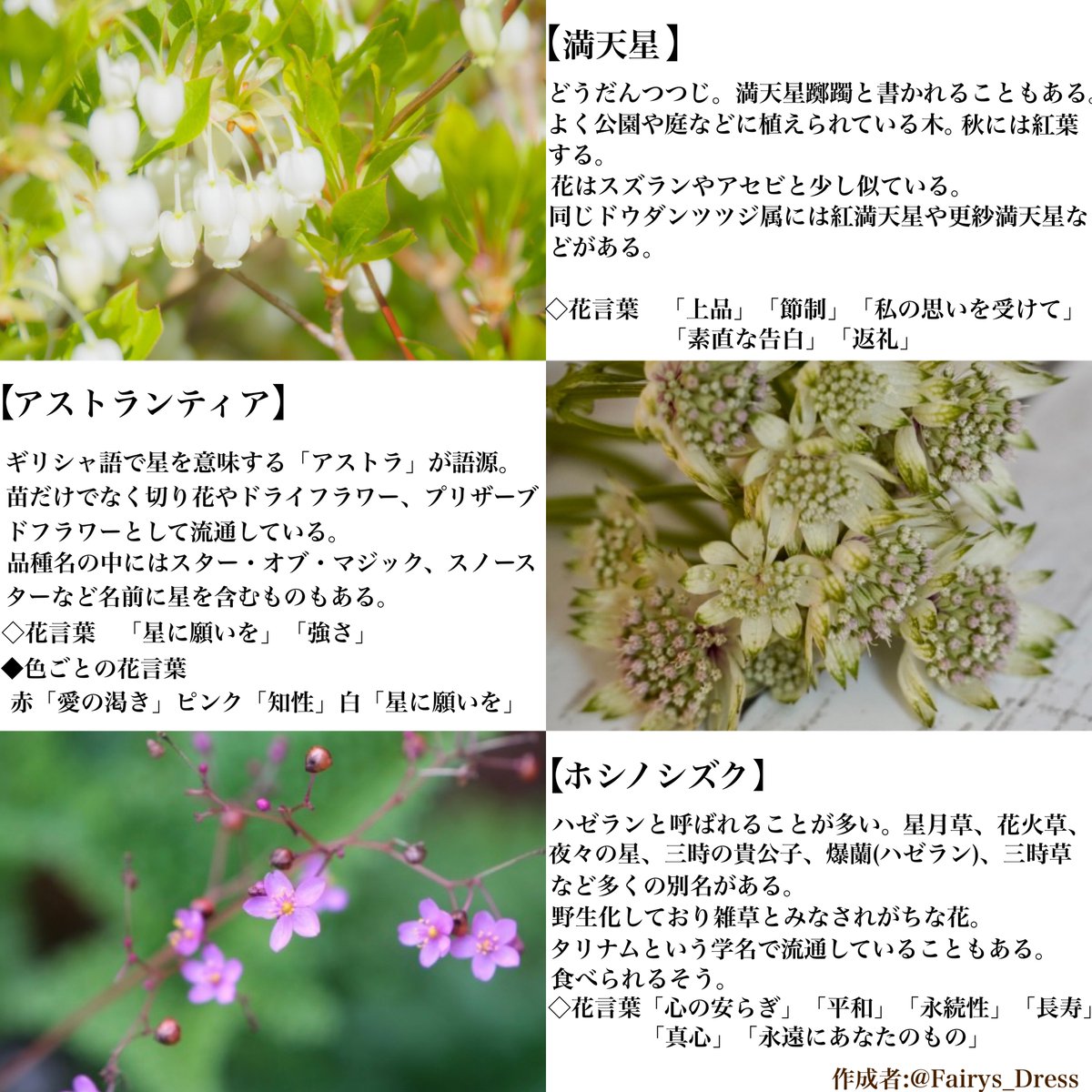 Fairy's Dress®︎ tweet media