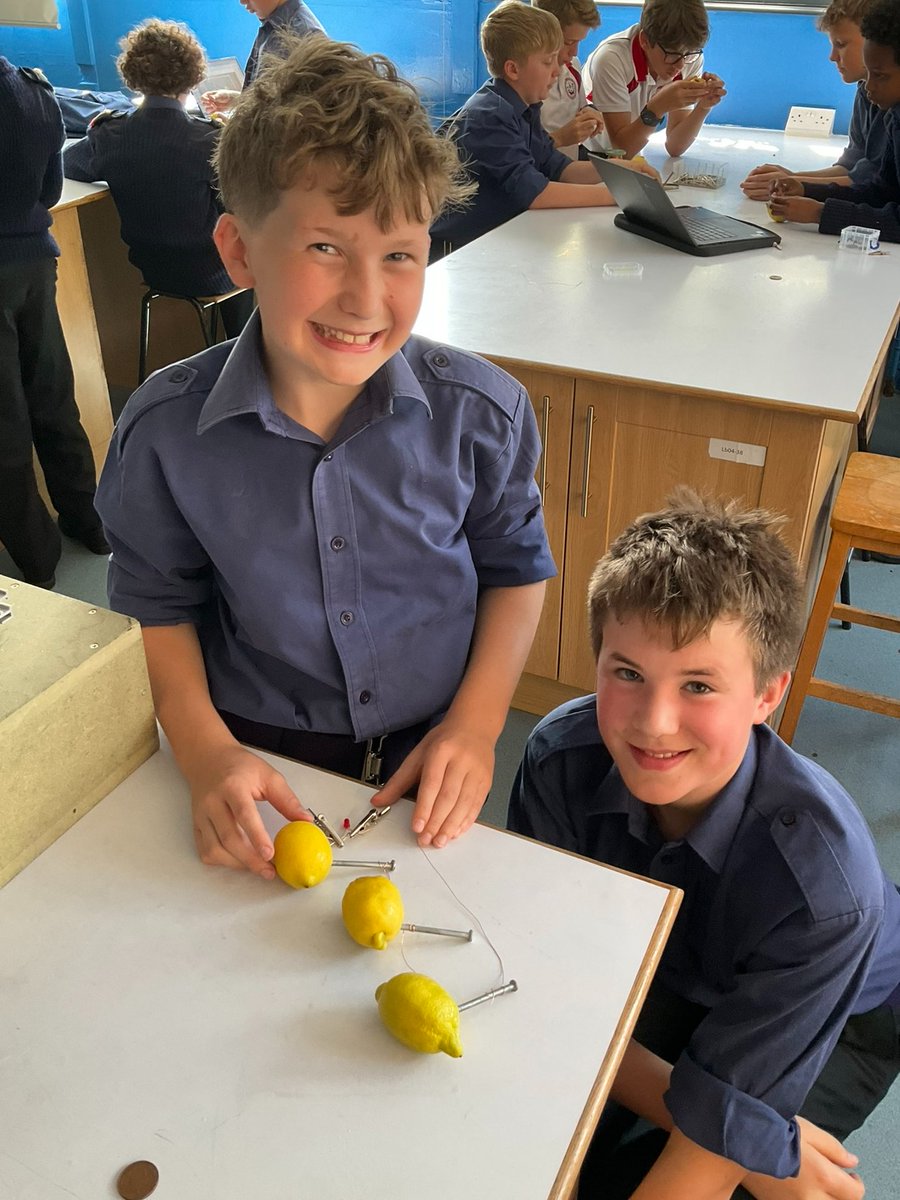 #PangCollYear7 are investigating fruit batteries. Will lemons power the world?! #PangCollScience #PangCollCuriosity