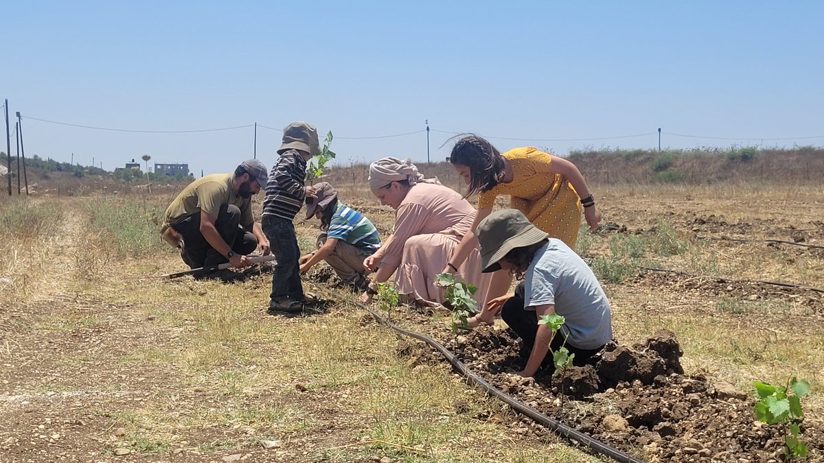 זכינו השבוע לטעת כרם ענבים באזור חוות גלעד אצל אחי בניהו לזכר סבינו יהושע מלט ז"ל שהיה מחלוצי וממיישבי עמק יזרעאל.
זכות להיות חלק מהשרשרת המופלאה הזאת שמלאה באהבה ונאמנות לשלמות הארץ ועסוקה בפיתוחה והפרחתה! 
טובה הארץ מאוד מאוד!! 🍇 🇮🇱 🫒 🇮🇱 💪