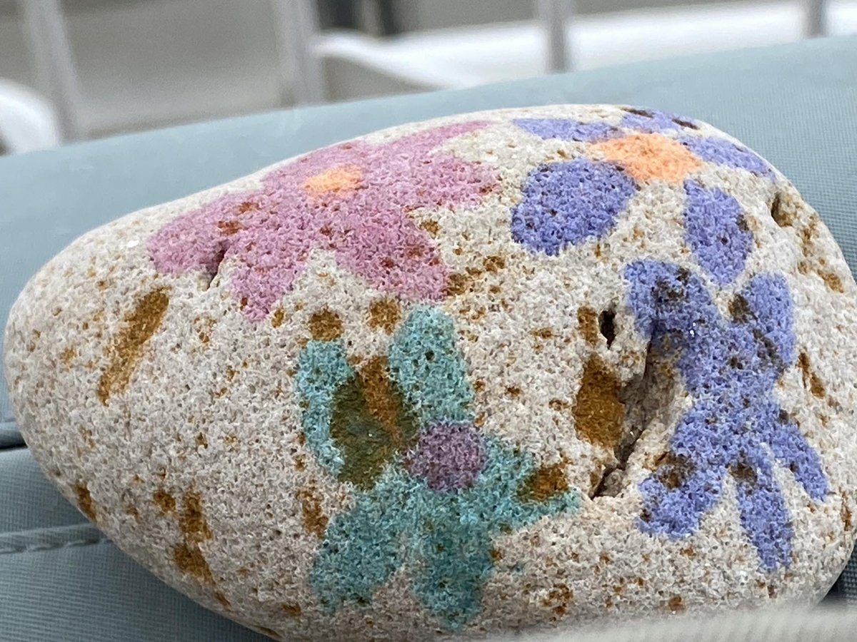 Jackie made #rockingaphasia pebbles in Chester-Le-Street park and cricket ground 🩵