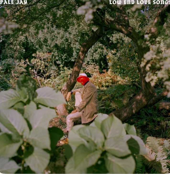 soulbrother884's tweet photo. #PaleJaye
『#LowEndLoveSongs』
https://t.co/5ngscoJ7qE
本日のオススメの1曲♬✨
#BrandNewTracks https://t.co/OHDlmuZlIU