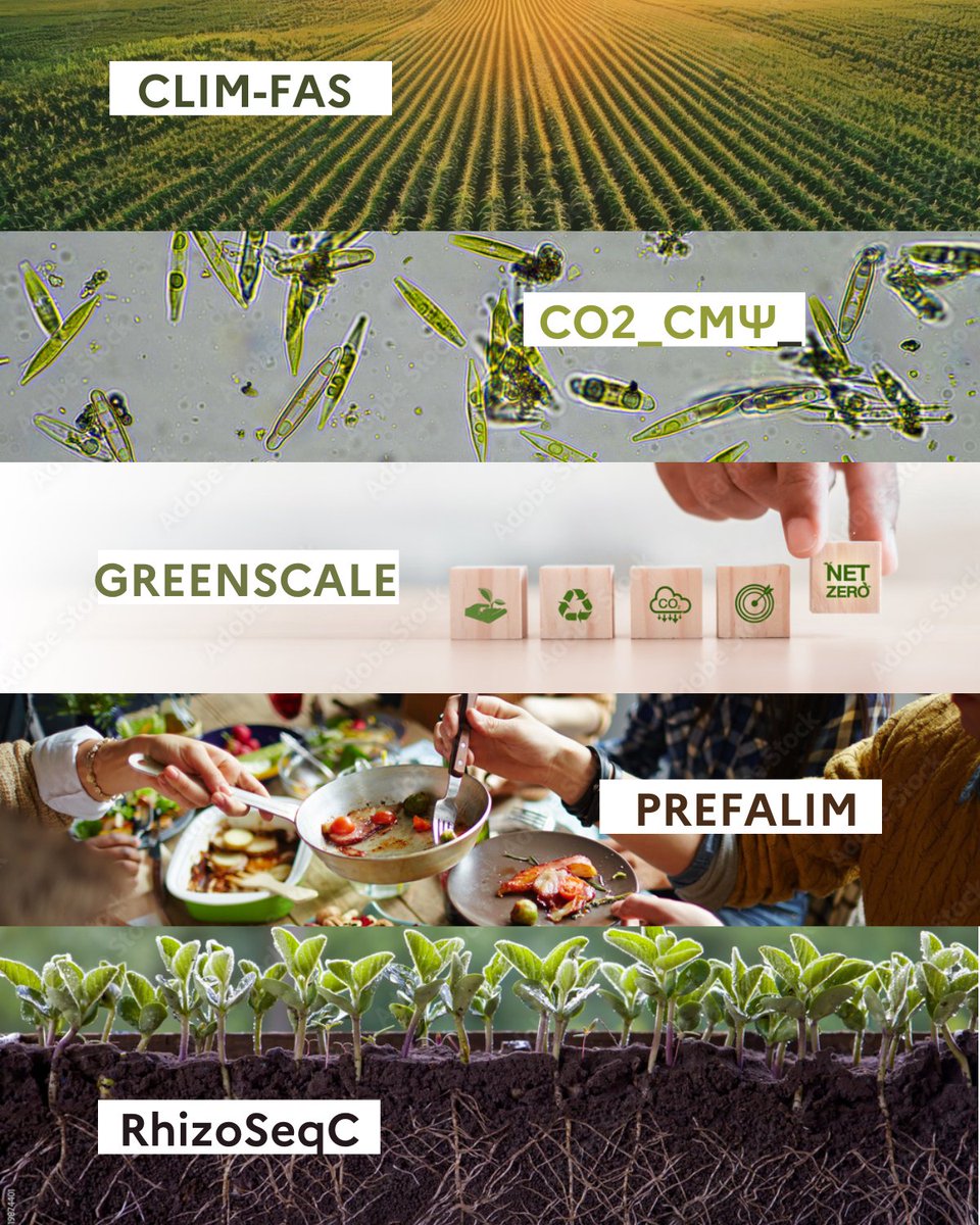 FairCarboN - Programme de recherche exploratoire (@pepr_faircarbon) on Twitter photo Nous avons le plaisir d'accueillir au sein de FairCarboN 5 nouveaux projets. Lauréats de l'appel à projets de la Vague 2, ces 5 projets seront financés sur 5 ans pour un total de 6M€ ! CLIM-FAS, CO2_CMΨ, GREENSCALE, PREFALIM, RhizoSeqC 
Plus d'infos : pepr-faircarbon.fr/projets/projet… Nous avons le plaisir d'accueillir au sein de FairCarboN 5 nouveaux projets. Lauréats de l'appel à projets de la Vague 2, ces 5 projets seront financés sur 5 ans pour un total de 6M€ ! CLIM-FAS, CO2_CMΨ, GREENSCALE, PREFALIM, RhizoSeqC 
Plus d'infos : pepr-faircarbon.fr/projets/projet…