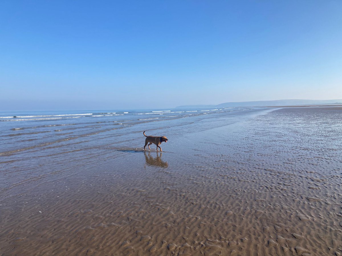 SelaineSaxby's tweet photo. Summer has certainly arrived in #NDevon ☀⛱ !
For those enjoying the recent hot and beautiful weather, please do make sure you also do take care.
😎For tips on how to stay safe in the heat, please visit: https://t.co/589q36ly2q https://t.co/EpyxfFkRj7
