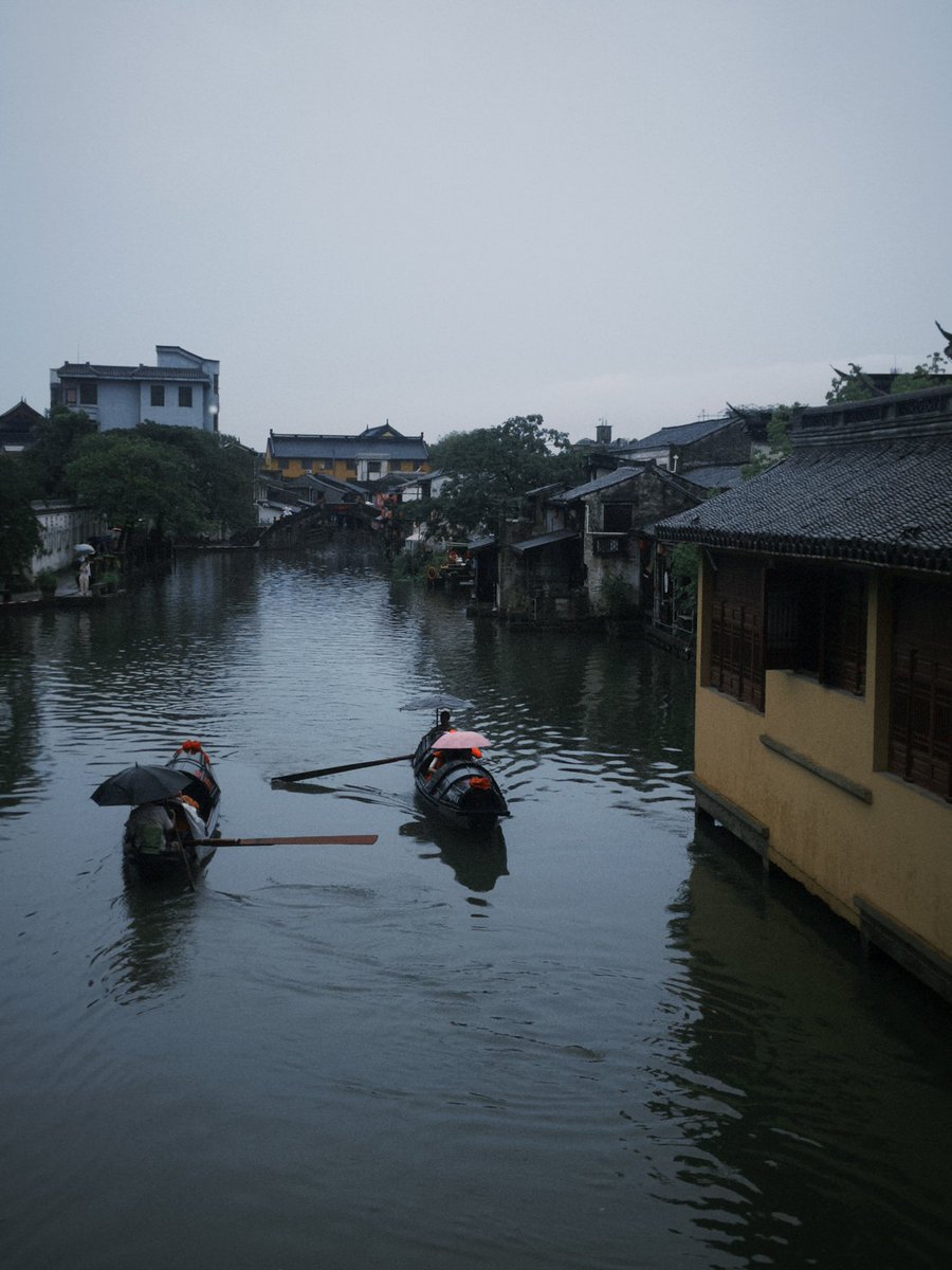 coraaaaa tweet media