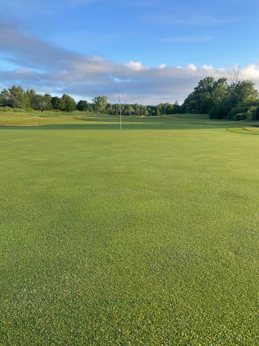 johnstonjoel's tweet photo. Seeing the best amateurs in the province was cool. Seeing the team execute at a high level was even cooler. Hosting the @TheGolfOntario Women’s Amateur and Mid-Amateur is definitely a career highlight so far. https://t.co/cAYykiSOAZ