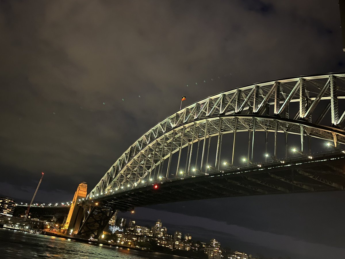 It was an absolute pleasure to present my research, reconnect with many old friends, and meet new friends at the 14th International Nanomedicine Conference in beautiful Sydney. What an incredible gathering of brilliant minds!