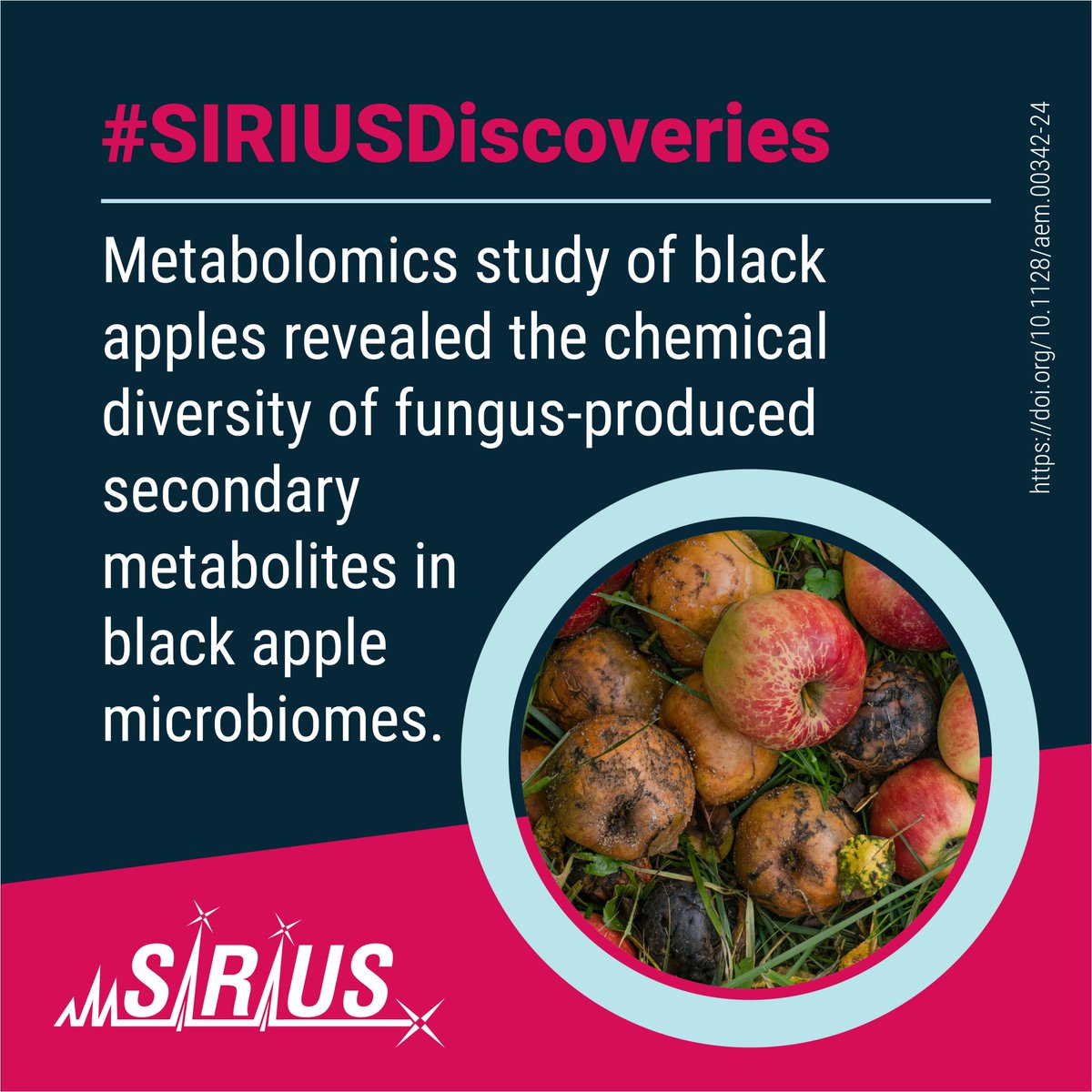 Bright Giant (@bright_giant) on Twitter photo #Metabolomics study of black apples revealed the #ChemicalDiversity of fungus-produced #SecondaryMetabolites in black apple #microbiomes.
📄 doi.org/10.1128/aem.00…
💡 #SIRIUSDiscoveries: bright-giant.com/discoveries/
<a href="/MichaelSCowled/">Michael Scott Cowled</a> <a href="/JCFrisvad/">Jens Christian Frisvad</a>
#MicrobialDecomposition #SIRIUS_MS #Metabolomics study of black apples revealed the #ChemicalDiversity of fungus-produced #SecondaryMetabolites in black apple #microbiomes.
📄 doi.org/10.1128/aem.00…
💡 #SIRIUSDiscoveries: bright-giant.com/discoveries/
<a href="/MichaelSCowled/">Michael Scott Cowled</a> <a href="/JCFrisvad/">Jens Christian Frisvad</a>
#MicrobialDecomposition #SIRIUS_MS
