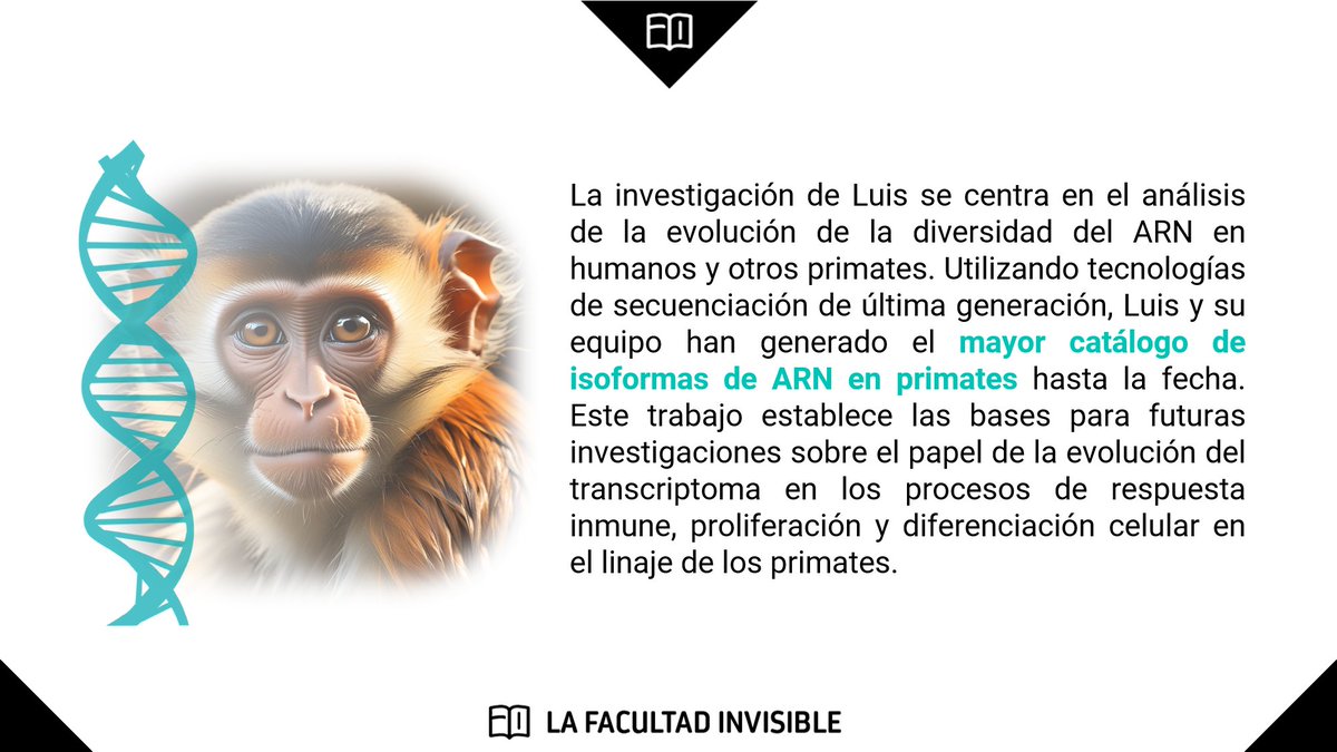 LaFacultadInvisible tweet media