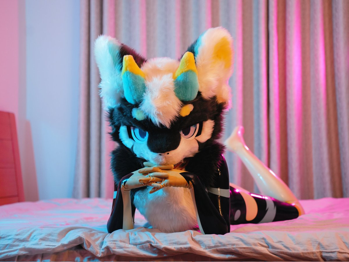KibiRonn's tweet photo. 虎鲸在入睡前陷入沉思~
晚上的宵夜是吃还是不吃呢…
#furry #Fursuit #兽装 #牵比绒 https://t.co/bvucpNl79U