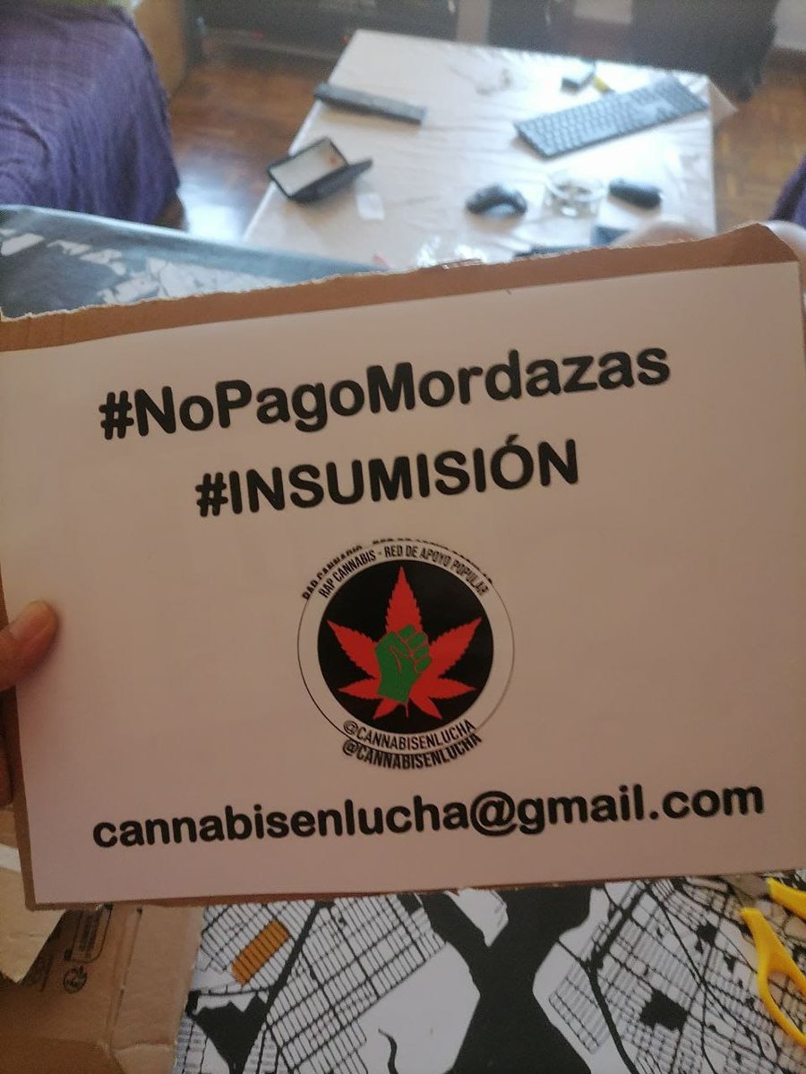 YerbaCeibe (@yerbaceibe) on Twitter photo 