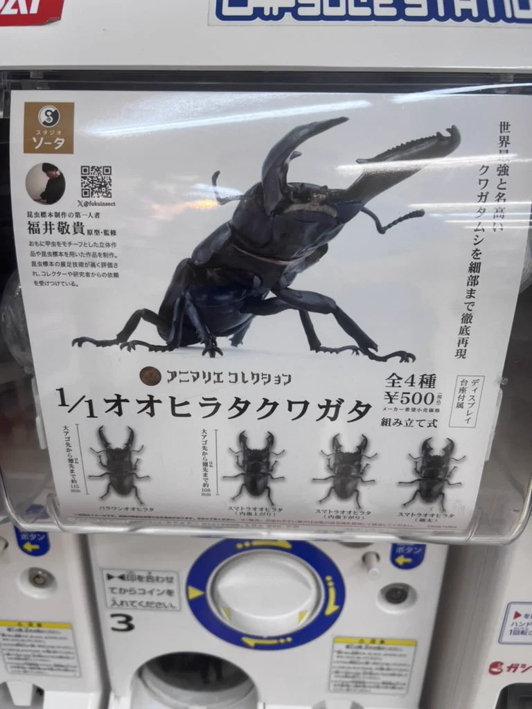 むし社 on X: 