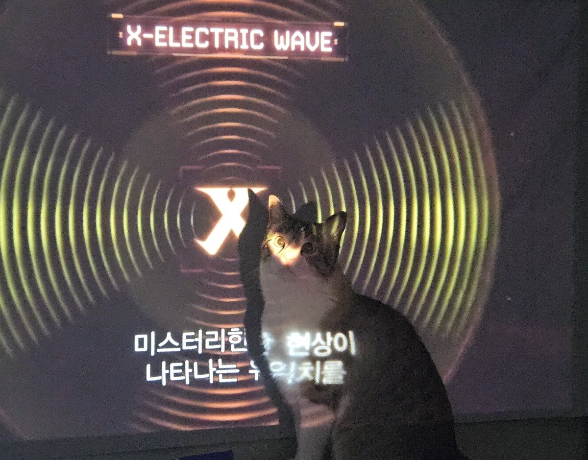 미스터리 진주단