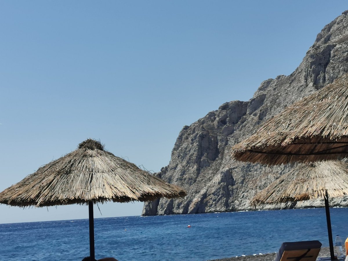 Laura Thom tweet media