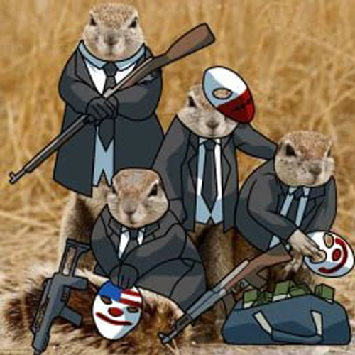 SquirrelGangCTO's tweet photo. @mrpunkdoteth Some $GANG shit, mob up bros https://t.co/Kh3U0W6Ah6