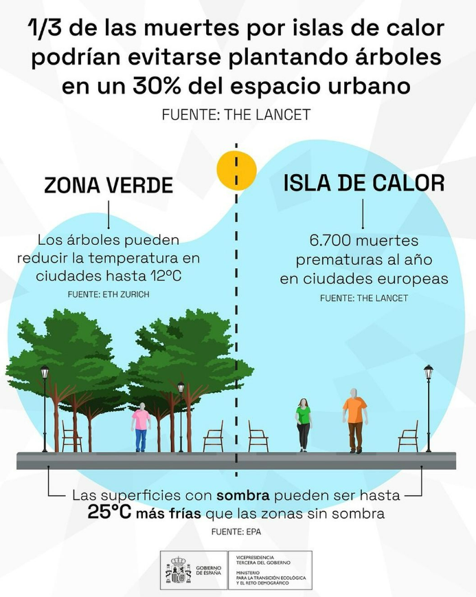 CREAF_ecologia's tweet photo. Sin los árboles no hay ciudades del futuro 🌳💚 En el #DiaMundialdelArbol queremos insistir en su papel como refugios climáticos, ya que pueden reducir las temperaturas ENORMEMENTE gracias a sus sombras y su transpiración ✨ https://t.co/dMFJtBOW9H