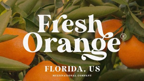 pietrobaudin's tweet image. Best 4 Fruit Fonts

↓ See Them All Below