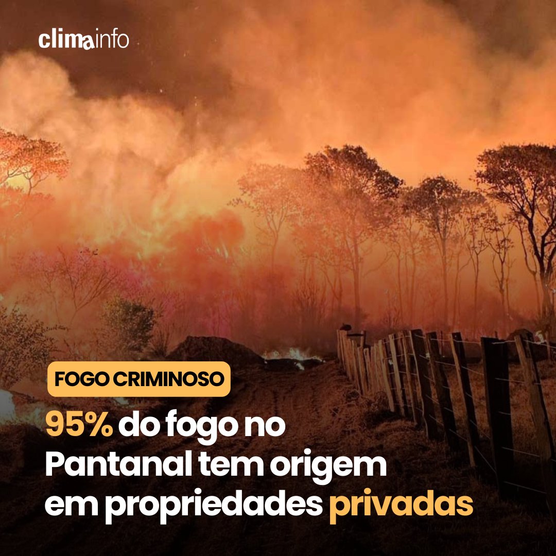 ClimaInfoNews's tweet photo. Importante dado para mover ações: quase a totalidade das chamas que estão destruindo o #Pantanal teve origem em propriedades privadas. Foram registrados número recorde de 3.372 focos de incêndio de 1º de janeiro até 3ª feira (25/6) ficam em áreas privadas.🧵 https://t.co/hNqZJFcwVj