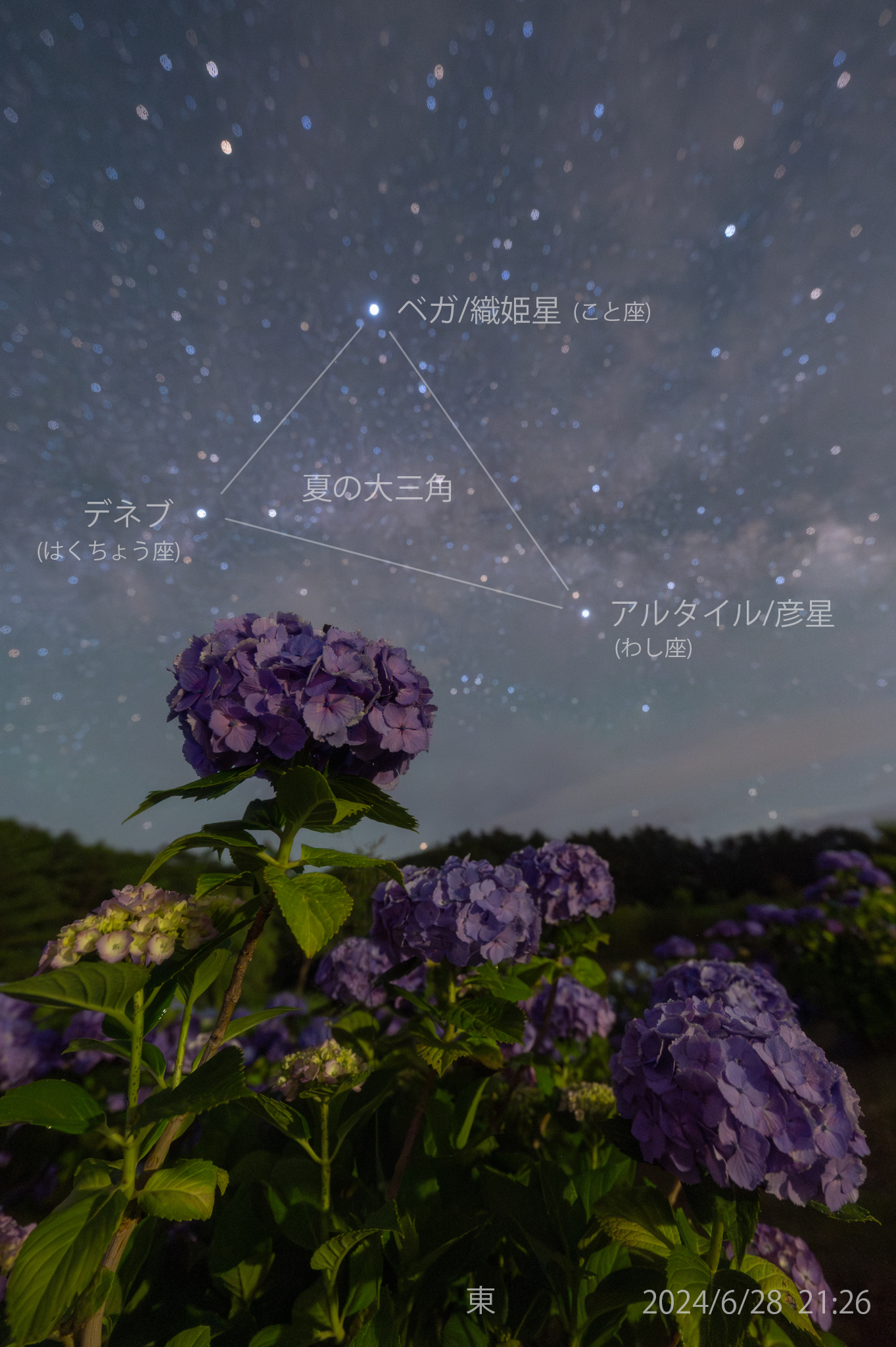 【恋愛成就】夏の夜空の織姫・彦星ブレスレット【七夕の奇跡】 恋愛成就】夏の夜空の織姫・彦星ブレスレット【七夕の奇跡
