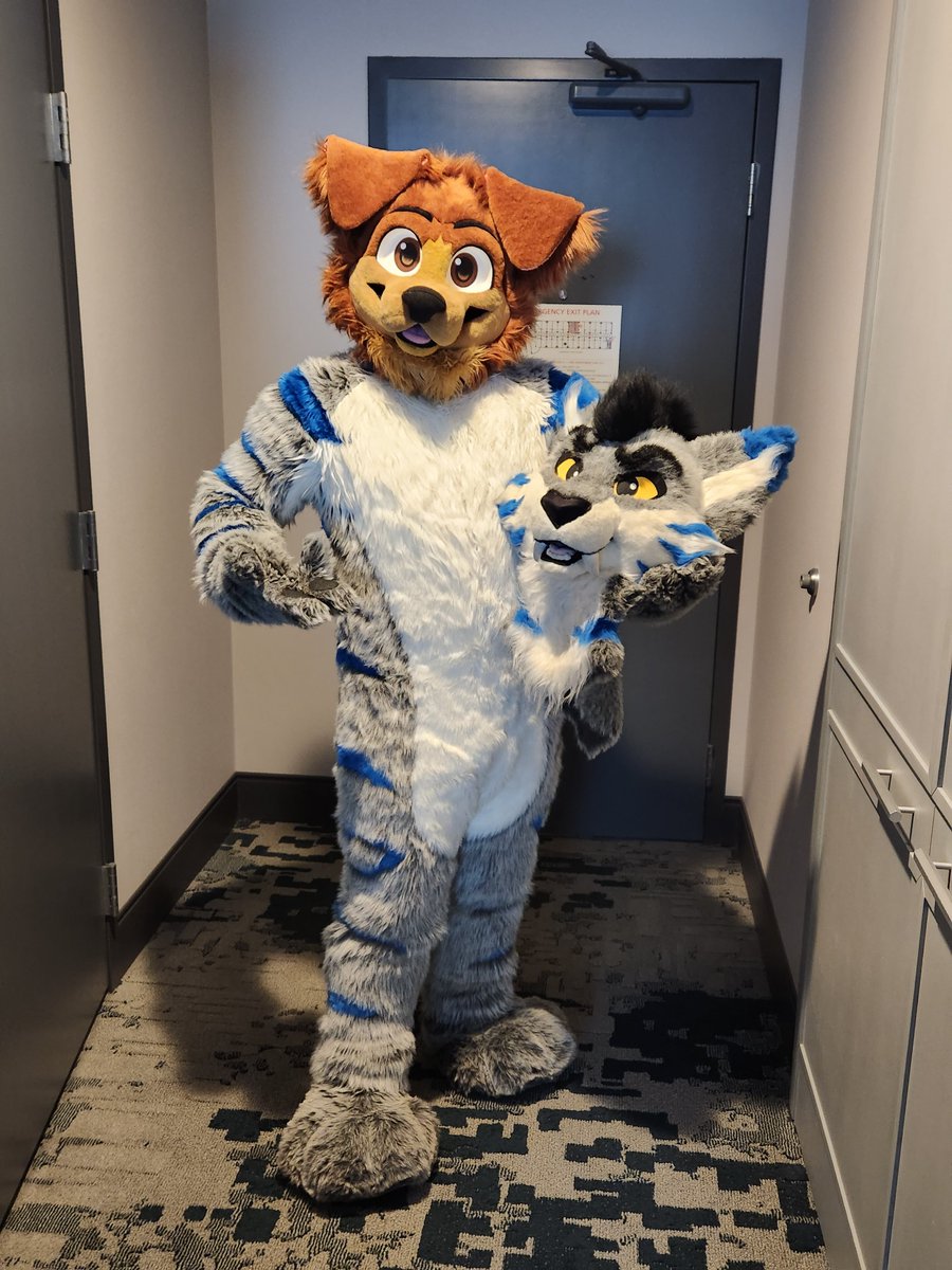 JD Puppy 🔜 jdpuppy.fastestfurs.org 🦋 tweet media