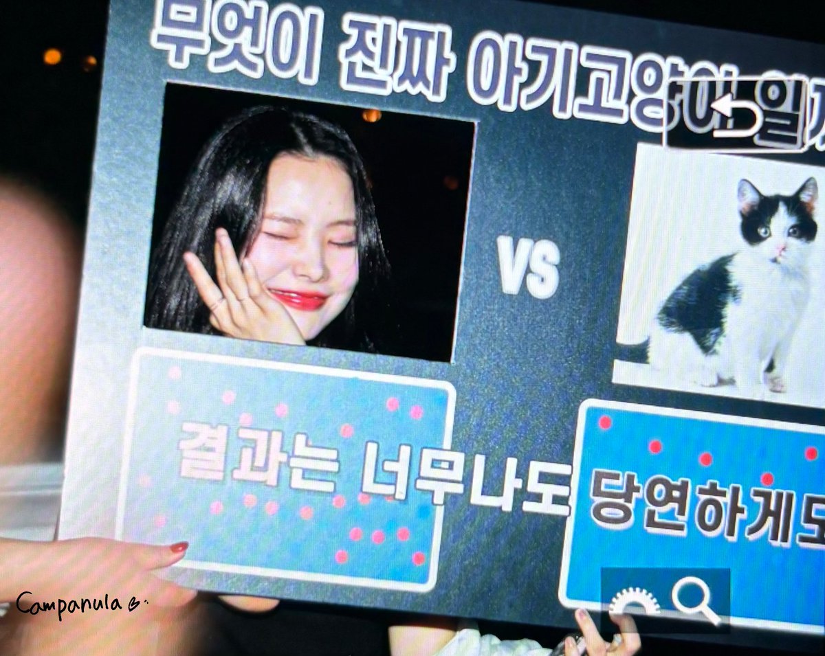 240628

사랑혀🫶

#위키미키 #WekiMeki #ウィキミキ   #리나 #RINA #リナ 
<a href="/WekiMeki/">WekiMeki 위키미키</a>