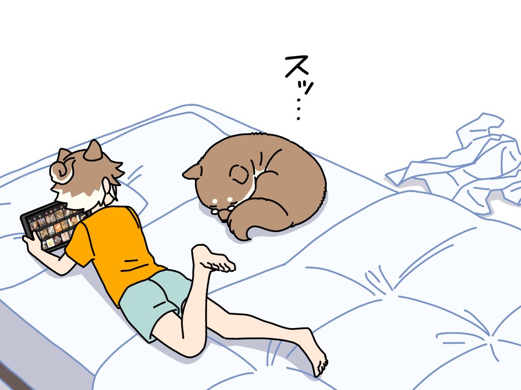 知能が高過ぎる柴犬が寝る時 