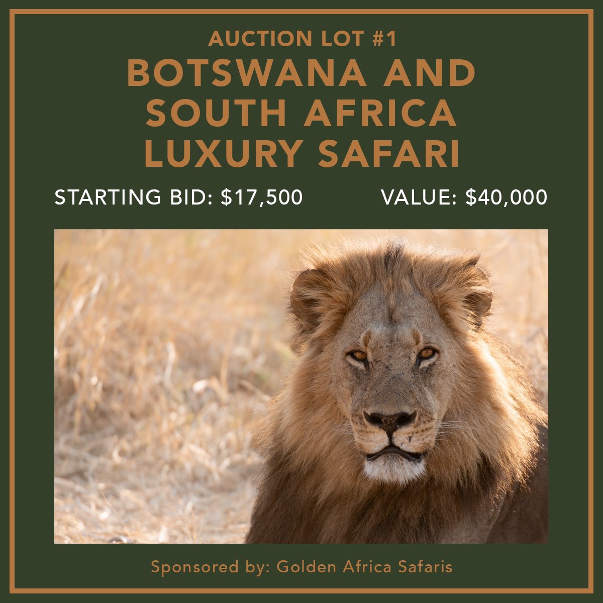 Ayolning dumbasining yaqindan tasviri