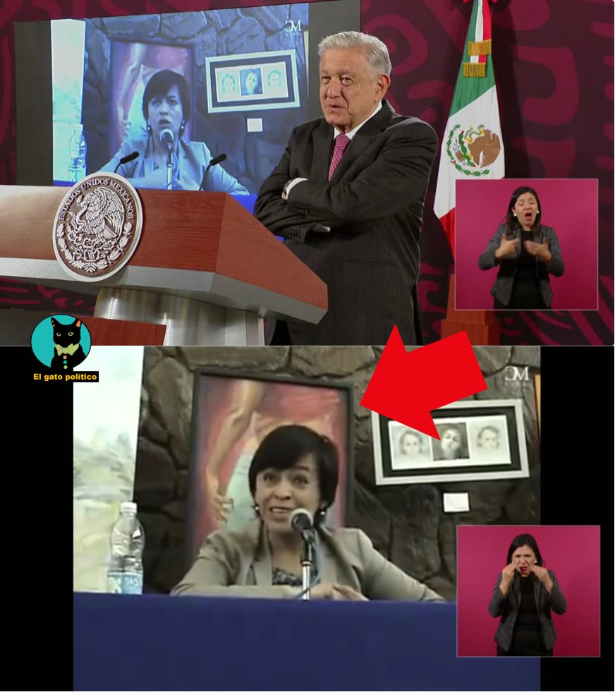 El gato político tweet media