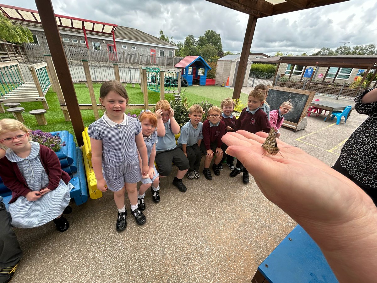 LeghVale's tweet photo. Reception have loved watching their caterpillars into butterflies over the past few weeks and today it was time to set them free! https://t.co/KEcDtgCWLj