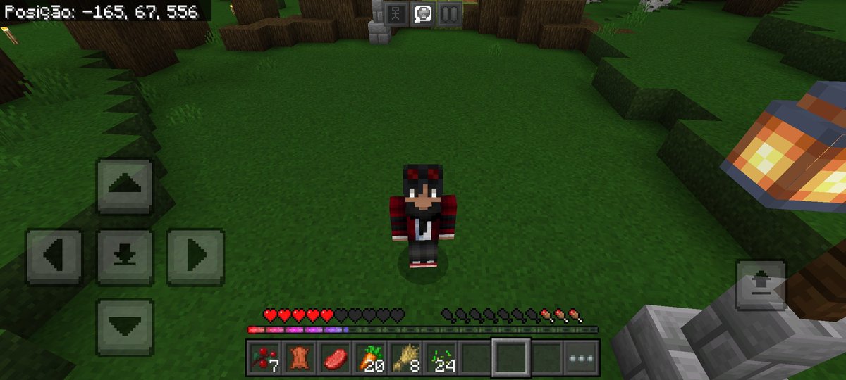 Drixzz_MC's tweet photo. Dia 1 no BT: adorei! Construções bonitas, pessoal educado e mais um monte de coisa maneira!
(Adotei um mini zumbi tbm kk) https://t.co/SMkrTBUSLS