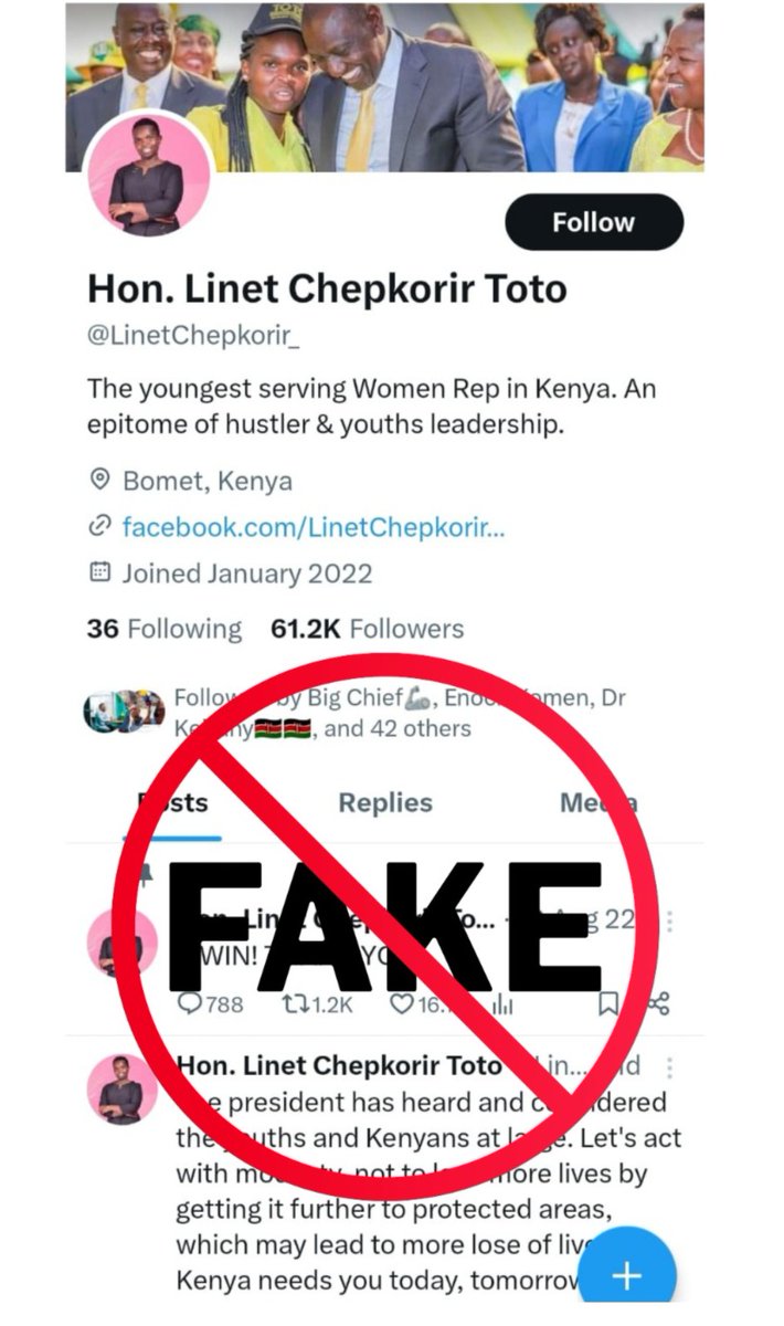 Linet Chepkorir Toto, MP tweet media
