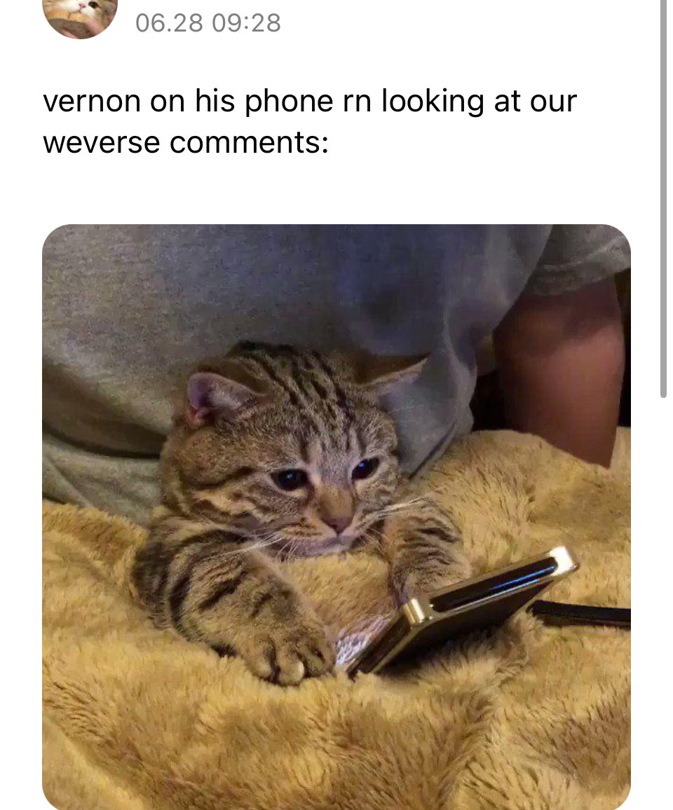 vernon content tweet media