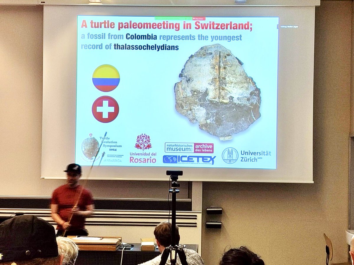 @paleoturtles tweet media