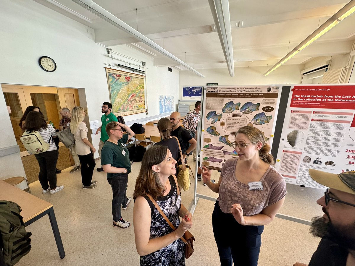 Turtle Evolution Symposium, Fribourg, Suiza. Gracias al programa de expertos internacionales del ICETEX 2024 por su apoyo!