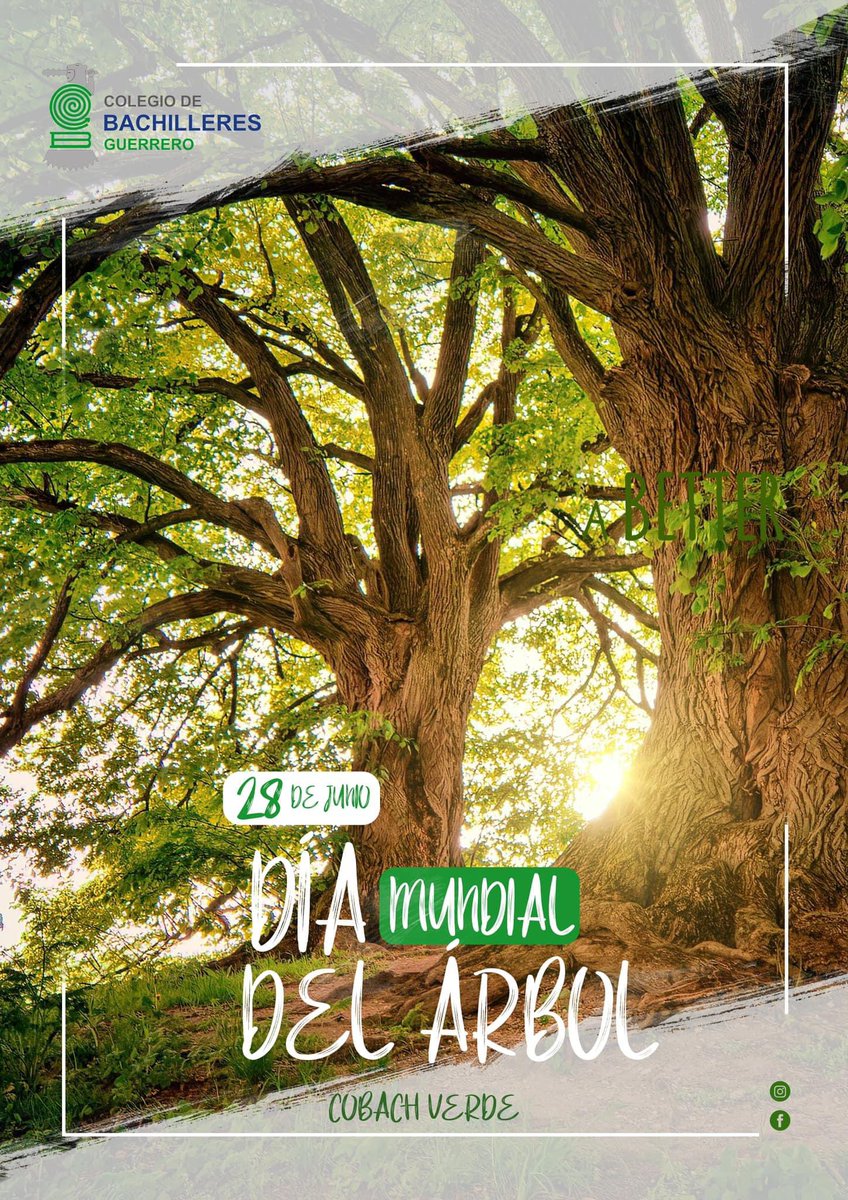 🌳 ¡Feliz Día Mundial del #Árbol! 🌳

Los #Árboles nos proporcionan oxígeno, sombra y son cruciales en la lucha contra el #CambioClimático. 🌍💚

#DíaMundialDelÁrbol #CobachVerde