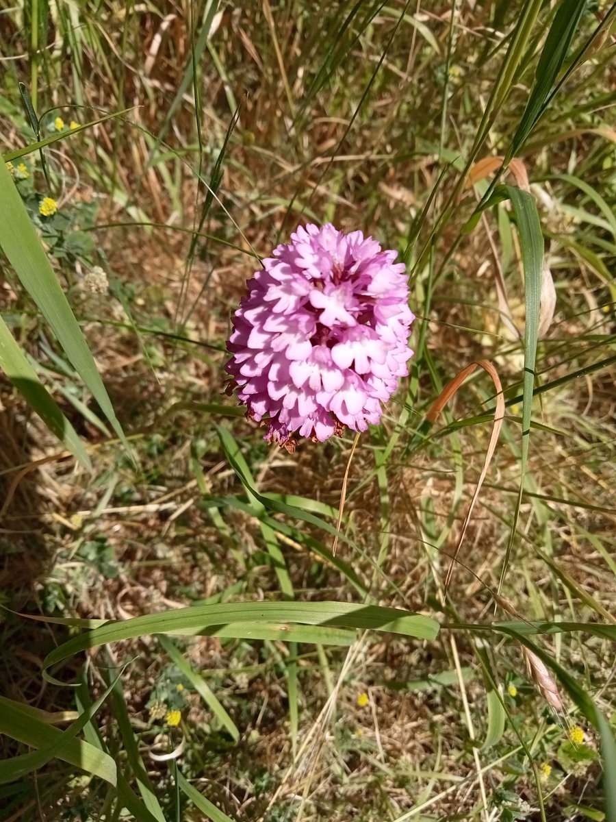 Our festival is now well and truly underway, so it was great to be able to take some moments of reflection in nature on yesterday's poetry walk. Tickets for most of our weekend events still available here: eveshamfestivalofwords.org/programme/