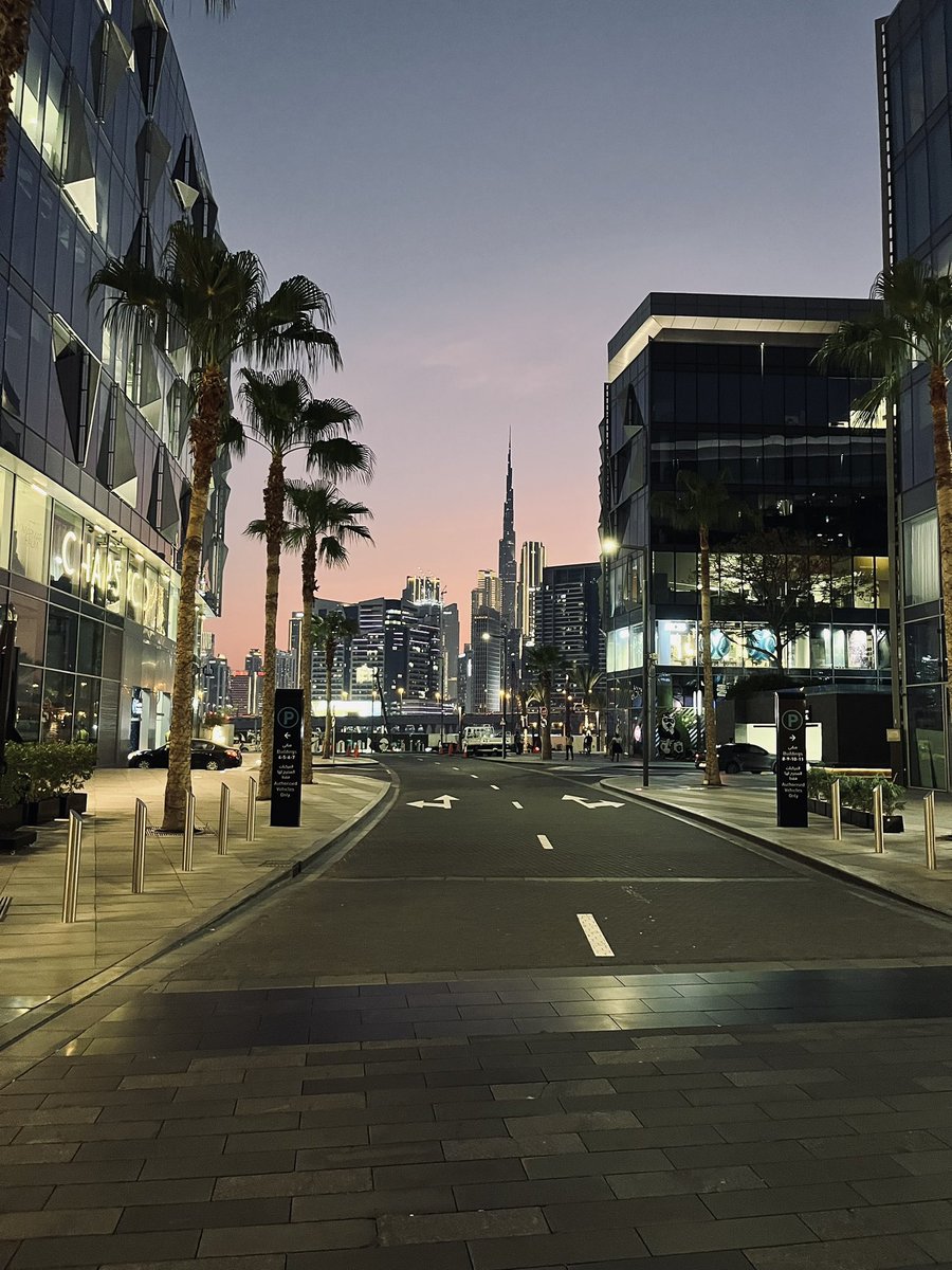 Daniel dos Reis tweet media