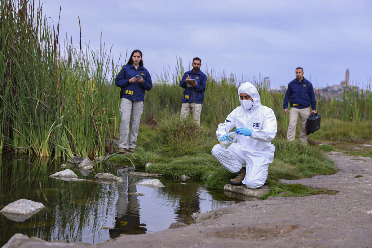 Los humedales son una fuente importante de biodiversidad para el planeta, con Flora y Fauna protegidas por la Ley 21.202 en Chile. Investigamos delitos de alta complejidad que afectan al Medio Ambiente, con especialistas del Laboratorio de Criminalística.