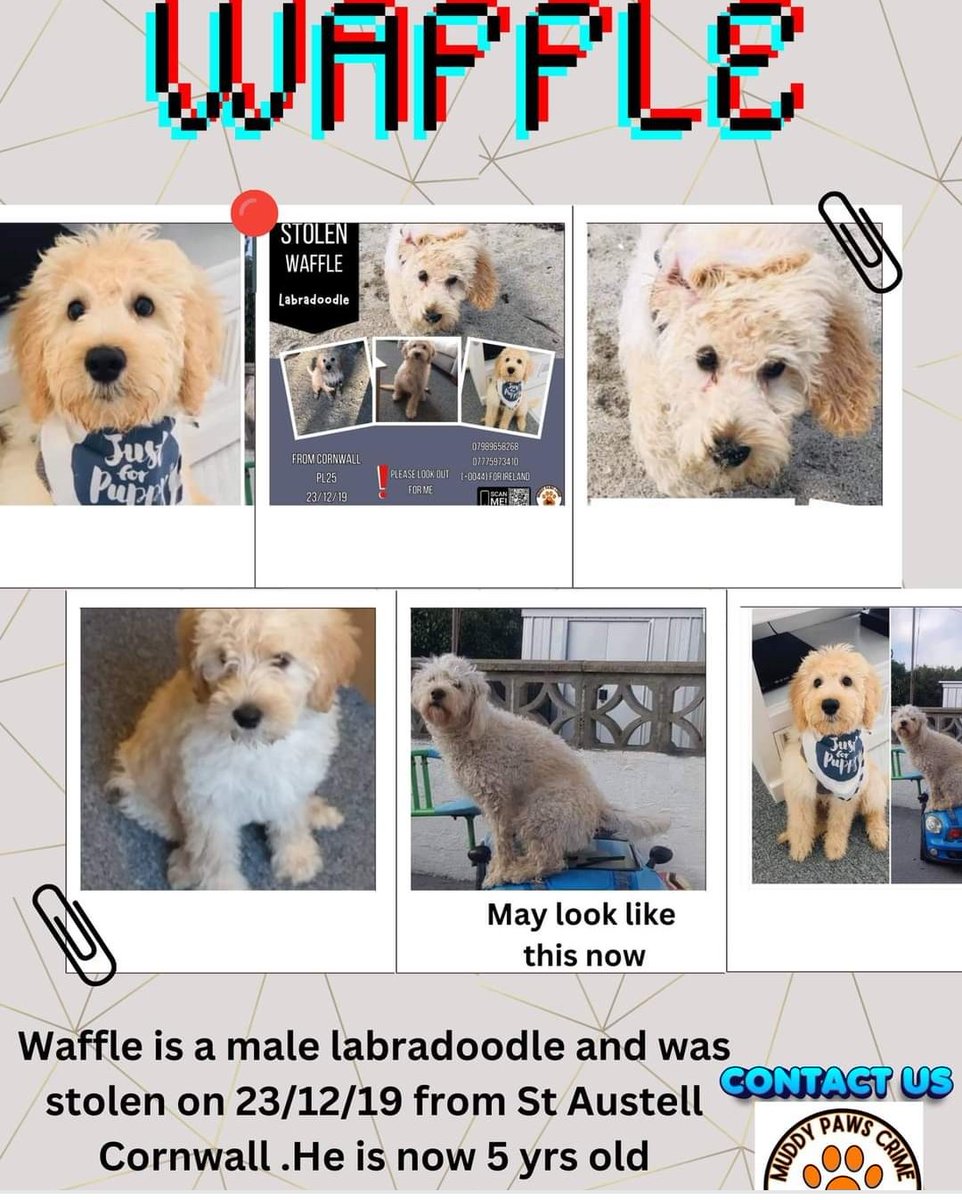 Michele Martin (@michele17772012) on Twitter photo 