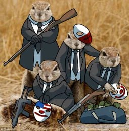 SquirrelGangCTO's tweet photo. @wallstreetbets They on some $GANG shit fr, join our $GANG instead tho https://t.co/vYTCjDjp02