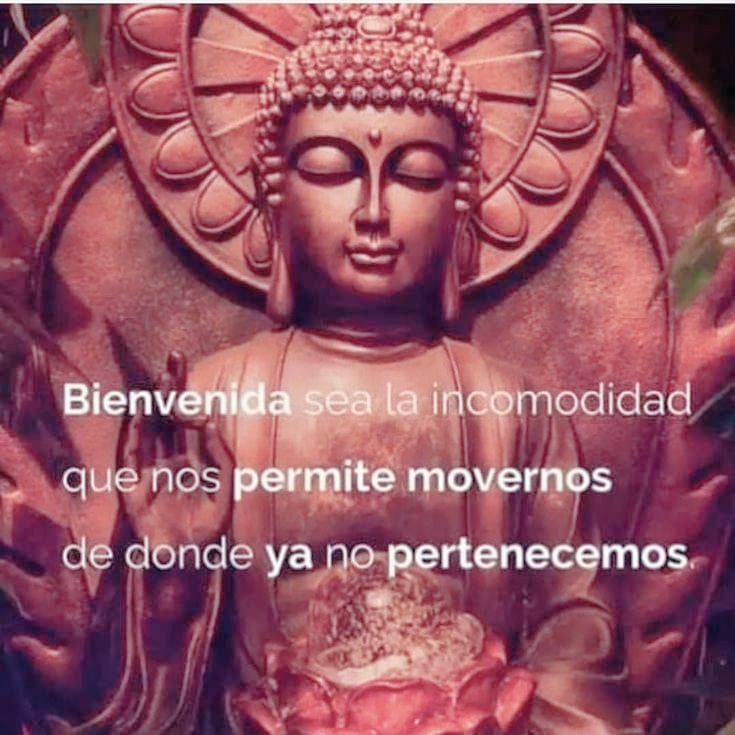 conemocioness's tweet photo. Buenos días. https://t.co/CxOFUCSMQV