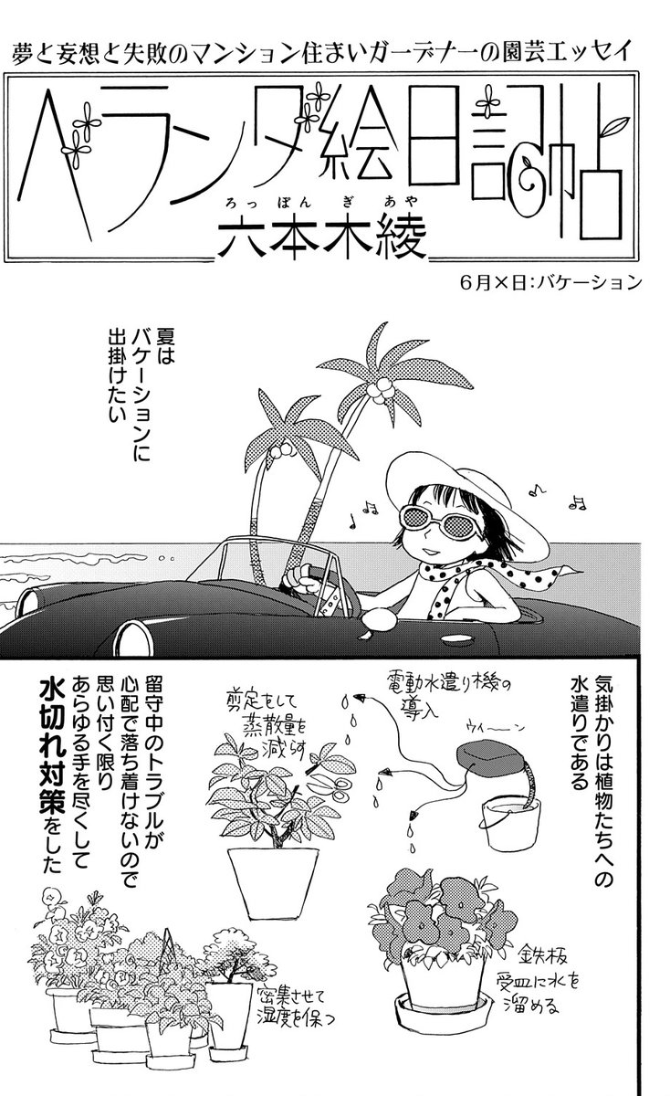 【メロディ8月号発売中!】六本木綾先生「ベランダ絵日記帖」最新話。夏は人間だけでなく植物も水分補給対策は必須! 