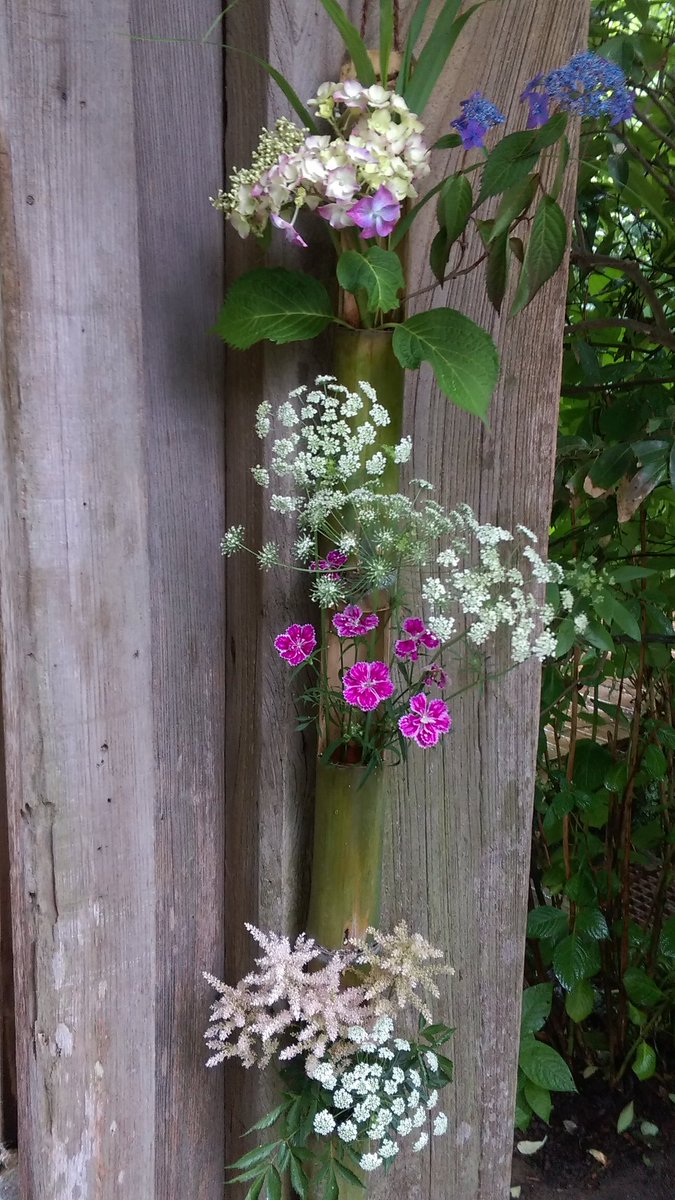 jadeongreen's tweet photo. 紫陽花 in 鎌倉
 #TLを花でいっぱいしよう 
 #TLを紫陽花でいっぱいにしよう https://t.co/SiXRKfDhPA