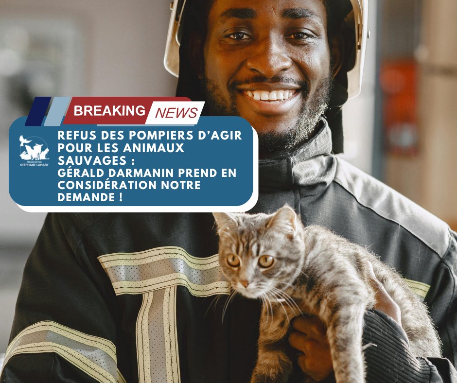 StephaneLAMART's tweet image. 📰[NEWS ASSO']📰

Suite à la problématique concernant des #pompiers qui avaient refusé de transporter un #renard agonisant sur la voie publique en février dernier, nous avions interpellé @GDarmanin sur la nécessité de rappeler aux pompiers leurs missions ! 

En effet, selon