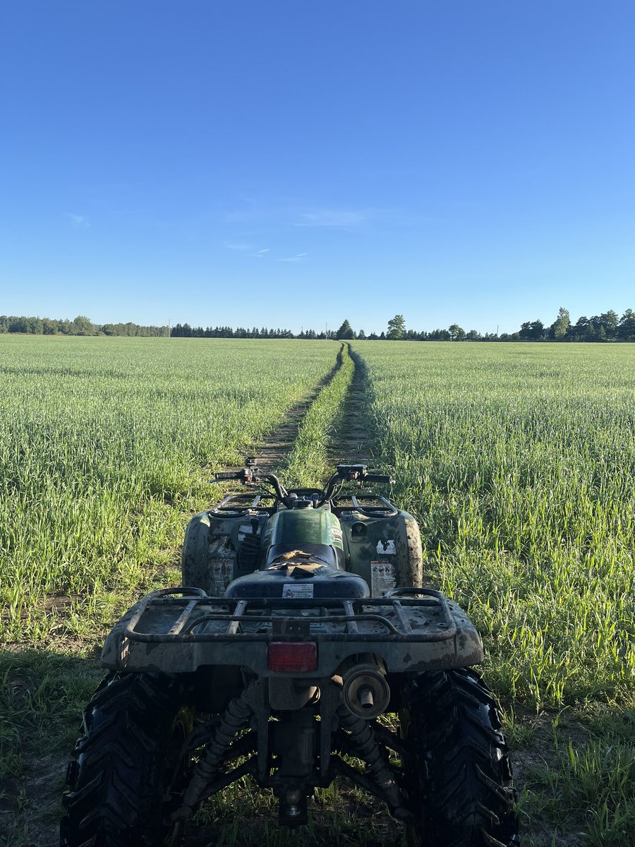 Heathersellit's tweet photo. Blue Sky!  Gonna hold up some traffic while we move hay today for sure! https://t.co/WQta3XYs9Q