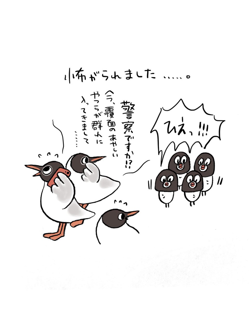 ゆりかもめ(夏)さんとお近づきになりたいぶんちょ 